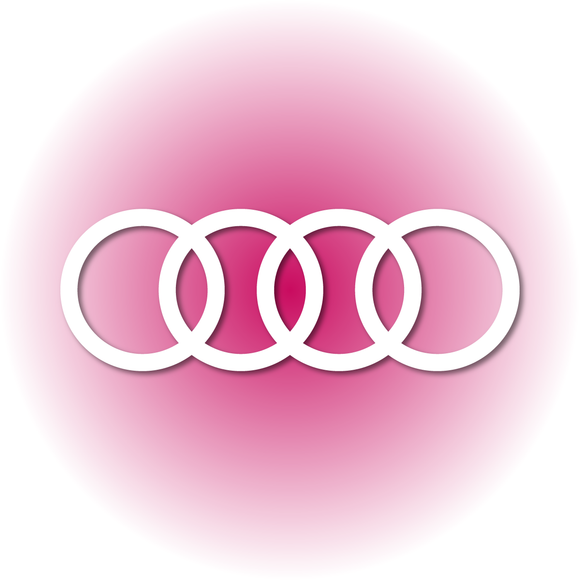 Audi ringen