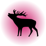 Moose | elandstickers